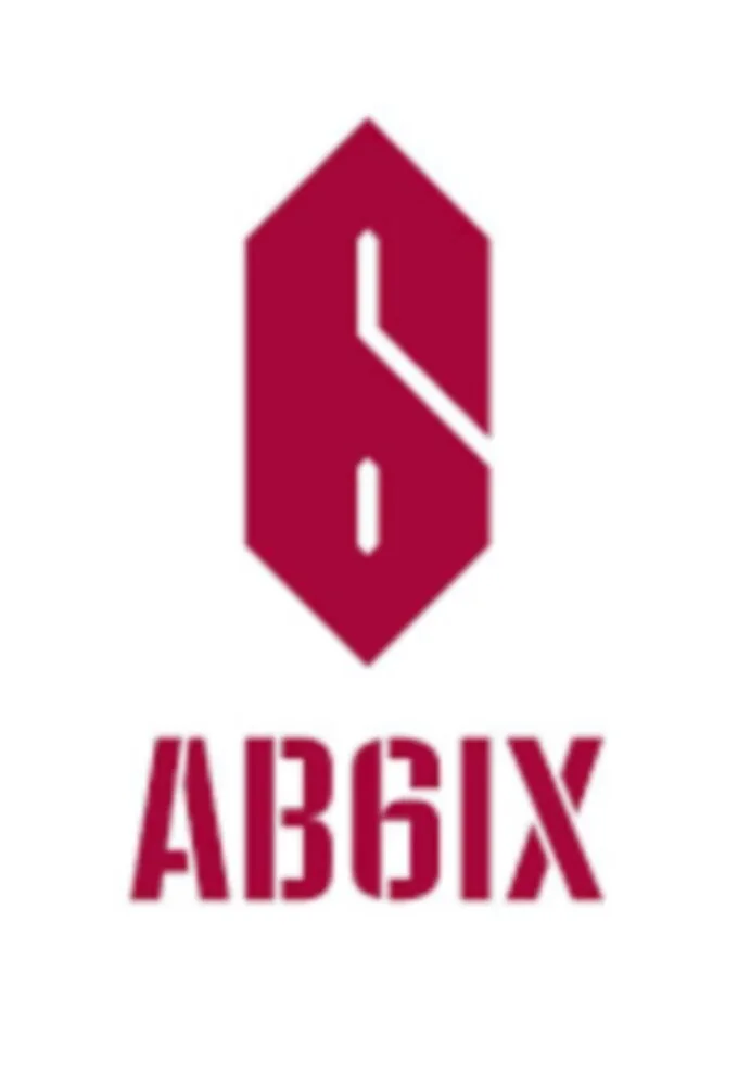 AB6IX Brand New Boys poster