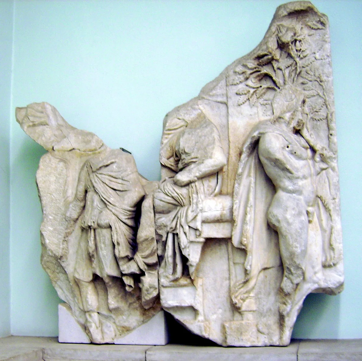 Aleus