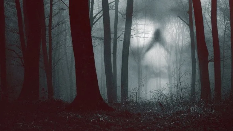 28 Days Haunted poster