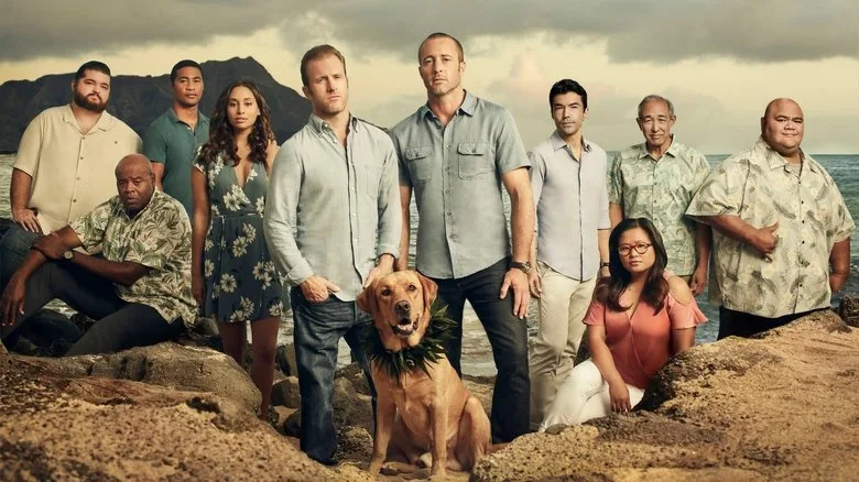Hawaii Five-0 TMDB poster or backdrop