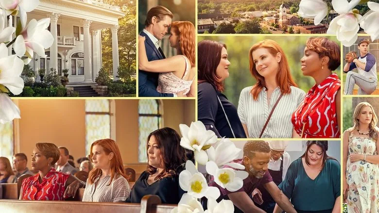 Sweet Magnolias TMDB poster or backdrop