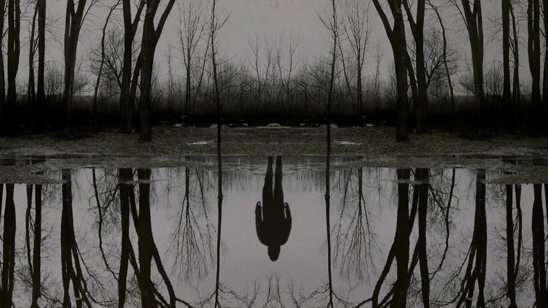 The Outsider TMDB poster or backdrop