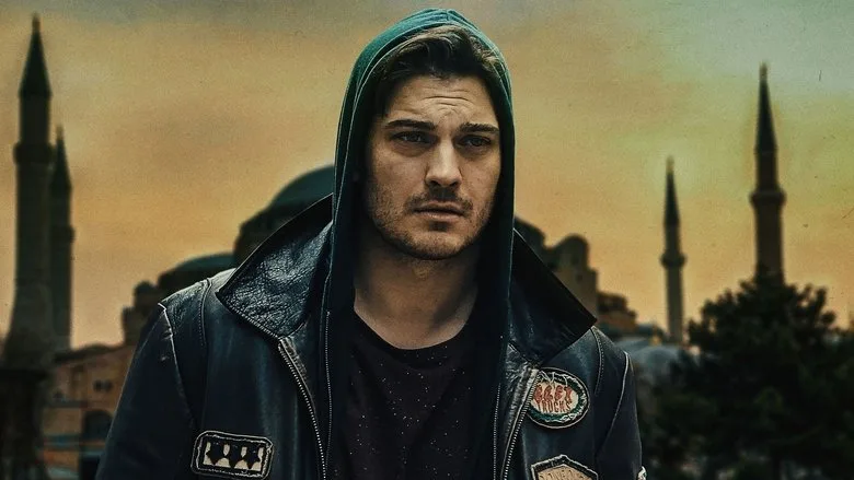 The Protector TMDB poster or backdrop