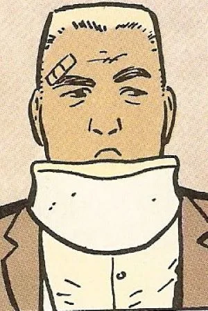 Arnold Flass comic character