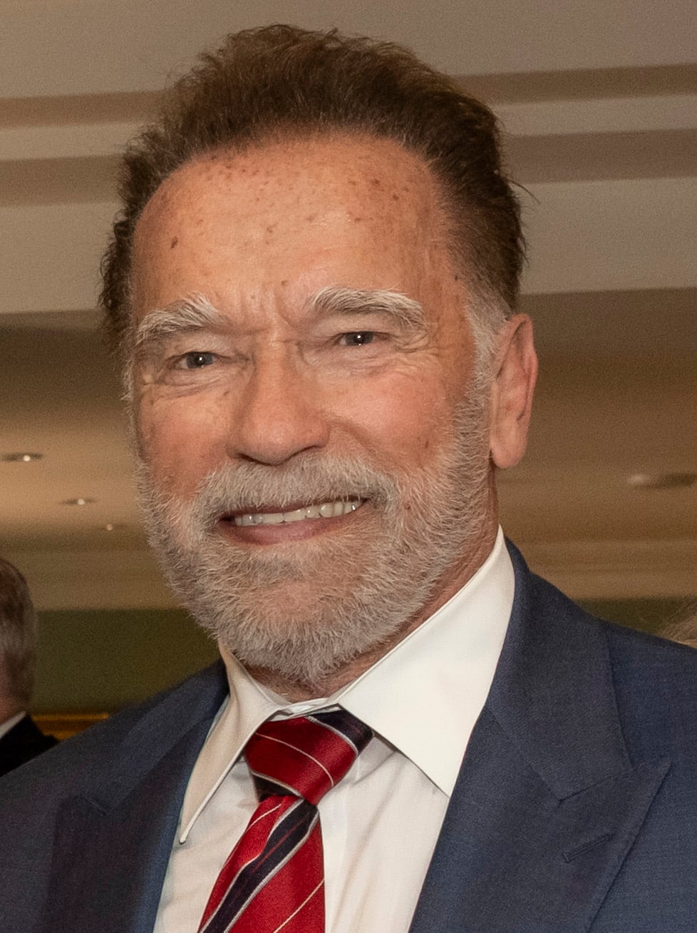 Arnold Schwarzenegger reference image