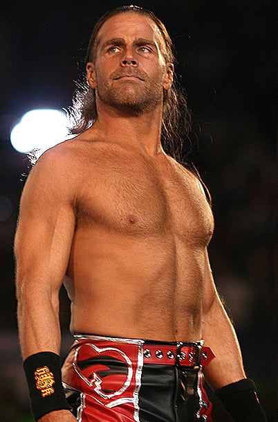 Shawn Michaels reference image