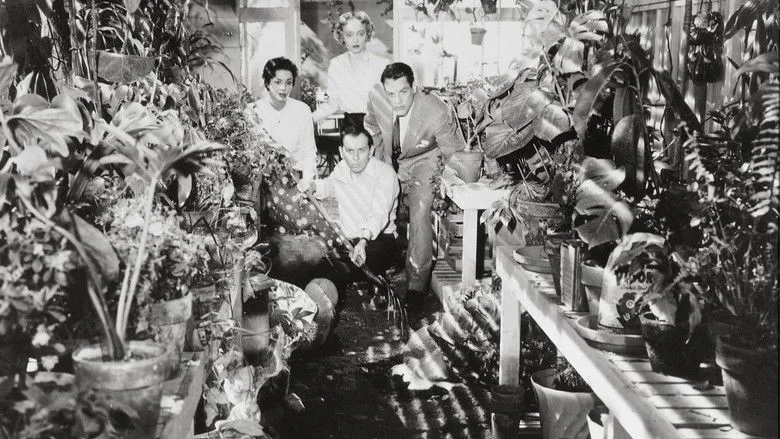 Invasion of the Body Snatchers TMDB poster or backdrop