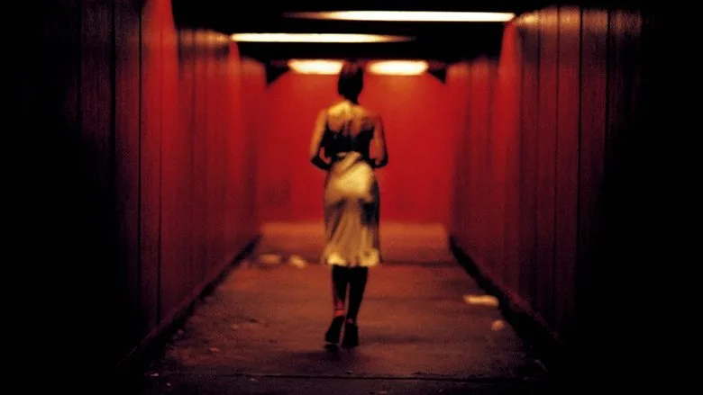 Irreversible poster