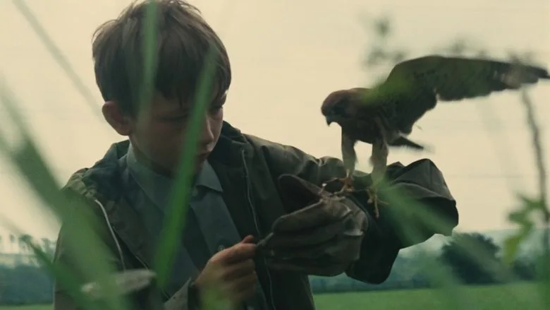 Kes TMDB poster or backdrop