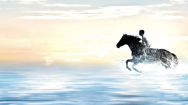 The Black Stallion poster