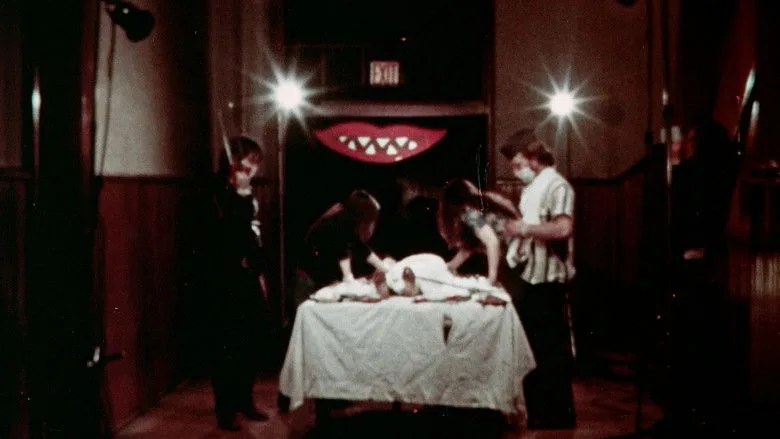 The Fun House poster