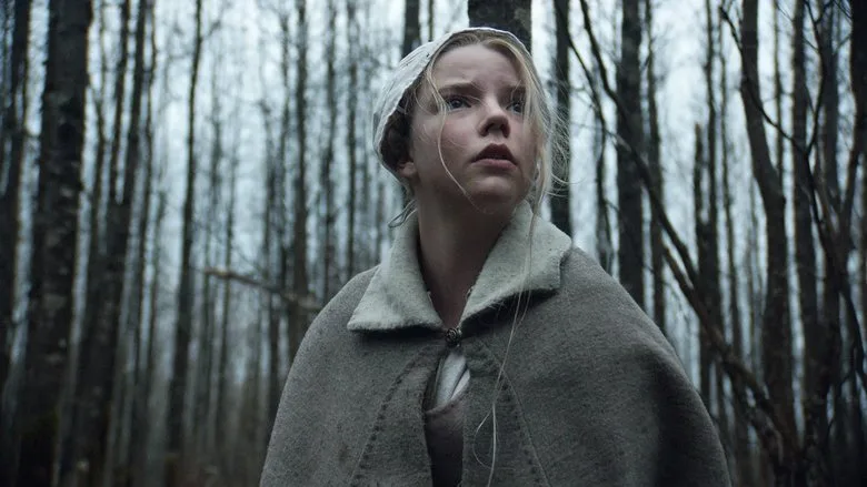 The Witch TMDB poster or backdrop