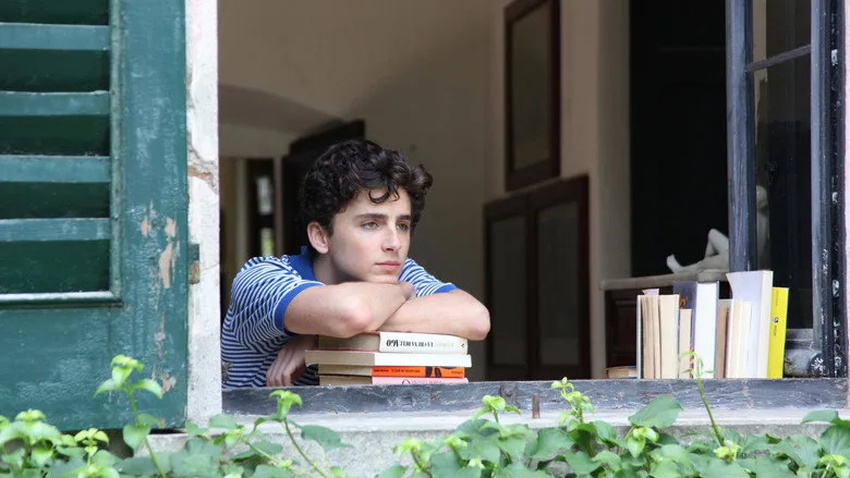 Call Me by Your Name TMDB poster or backdrop