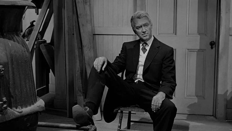 The Man Who Shot Liberty Valance TMDB poster or backdrop