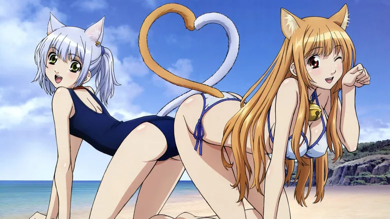 Cat Planet Cuties poster