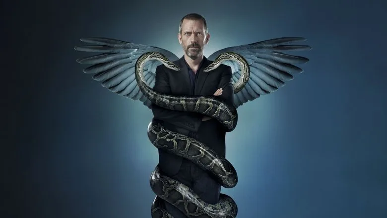 House TMDB poster or backdrop