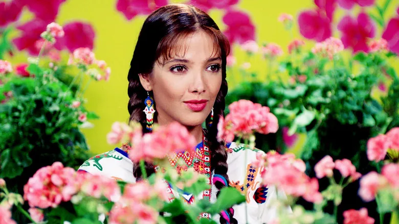 María Isabel TMDB poster or backdrop