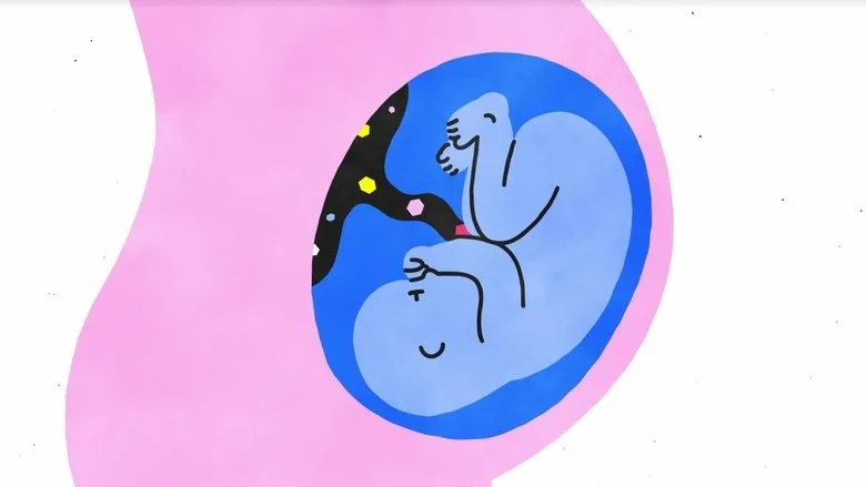 Sex, Explained poster