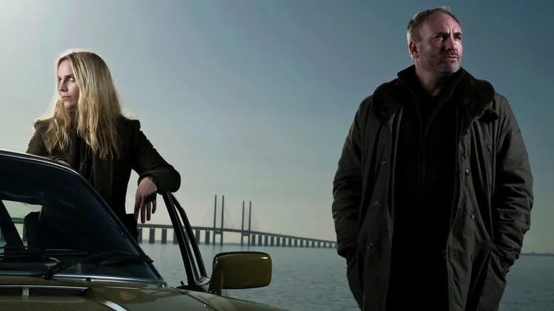 The Bridge TMDB poster or backdrop
