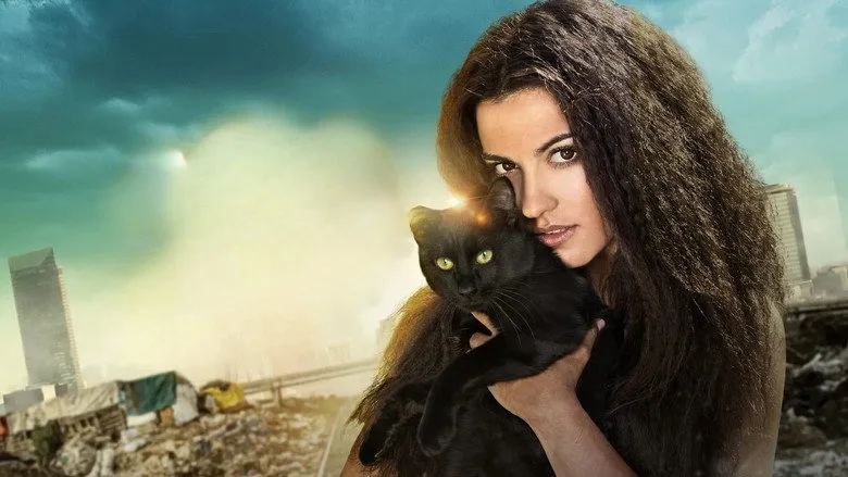 The Stray Cat poster