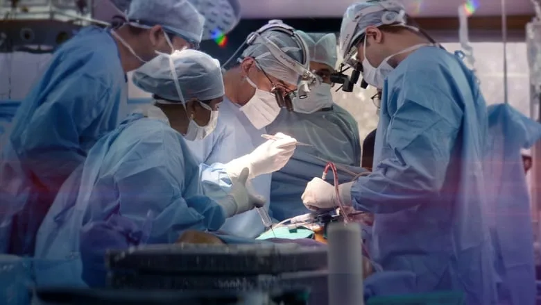The Surgeon's Cut poster