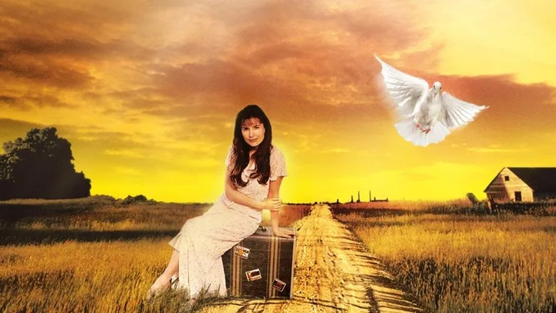 Touched by an Angel TMDB poster or backdrop