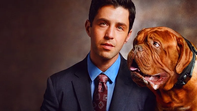 Turner & Hooch TMDB poster or backdrop
