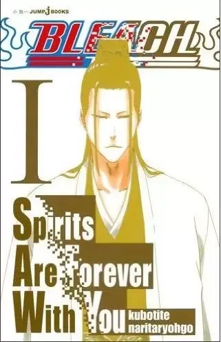 Bleach: Spirits Are Forever with You manga artwork