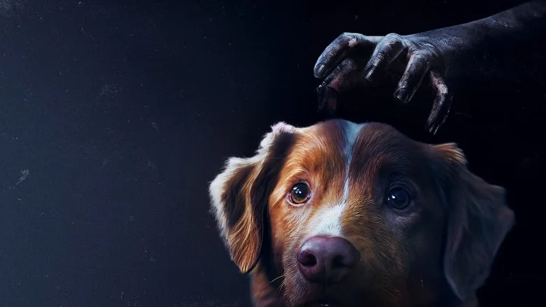 Good Boy TMDB poster or backdrop