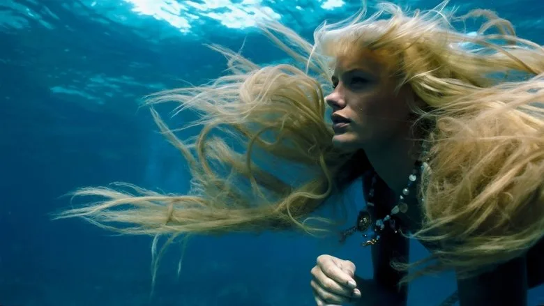 Splash TMDB poster or backdrop