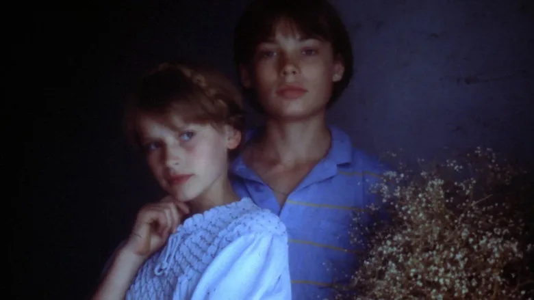 Tender Cousins poster