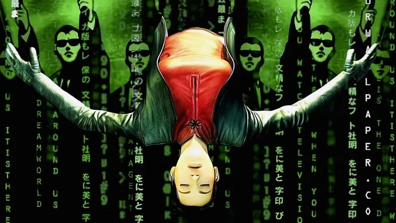 The Animatrix TMDB poster or backdrop