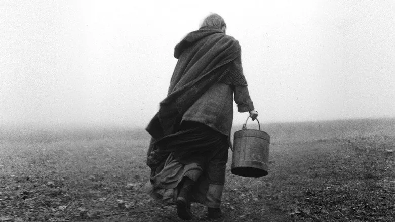 The Turin Horse TMDB poster or backdrop