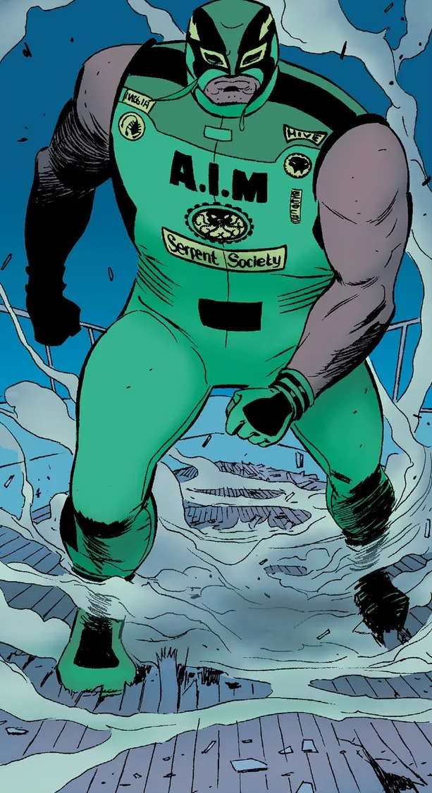 Bruiser comic character