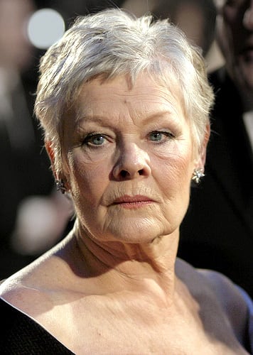 Judi Dench reference image