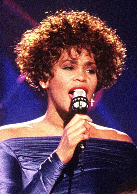 Whitney Houston reference image