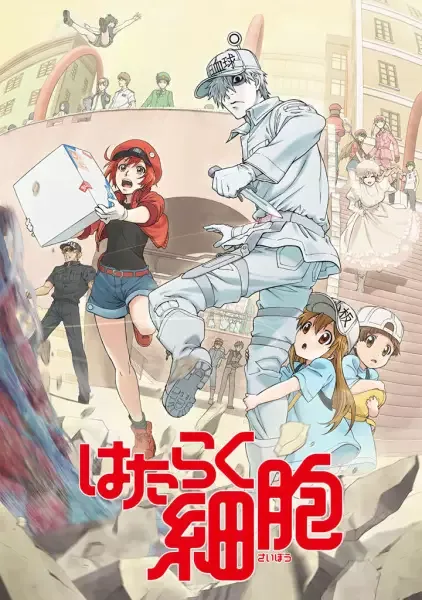 Cells at Work! anime artwork