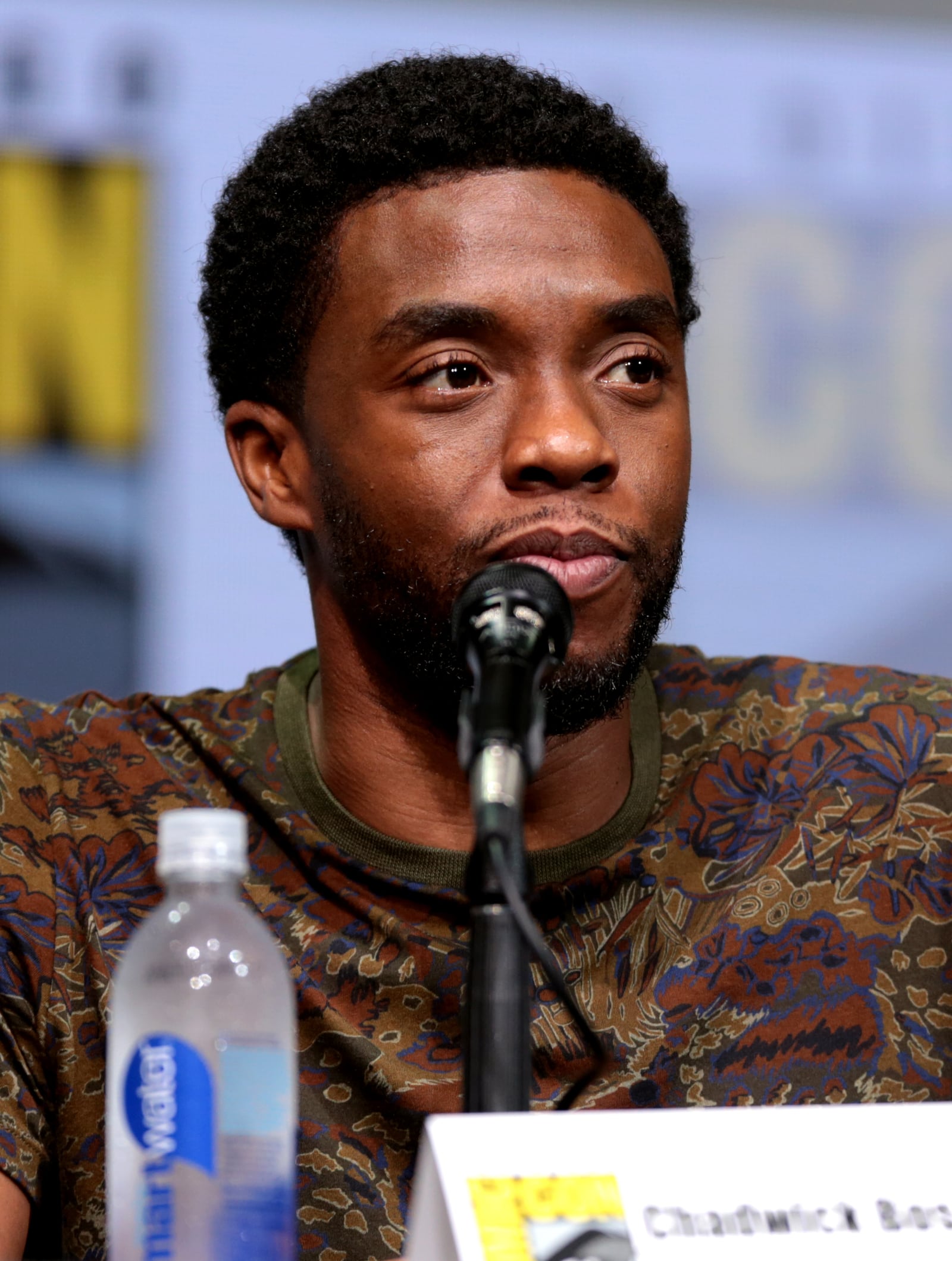 Chadwick Boseman reference image