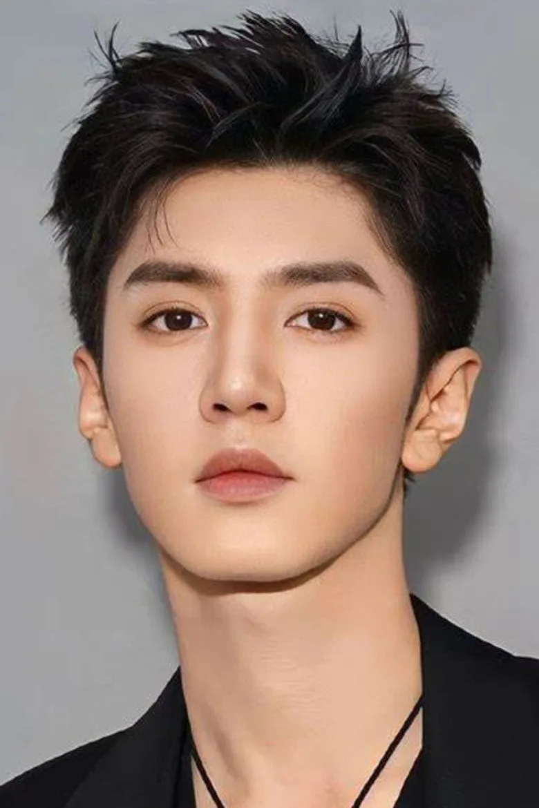 Chen Zheyuan filmography