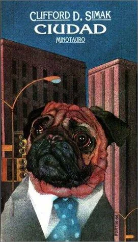 City book cover