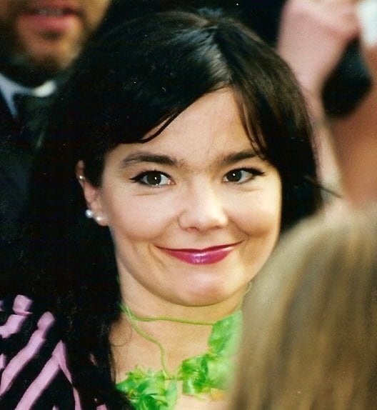 Björk reference image