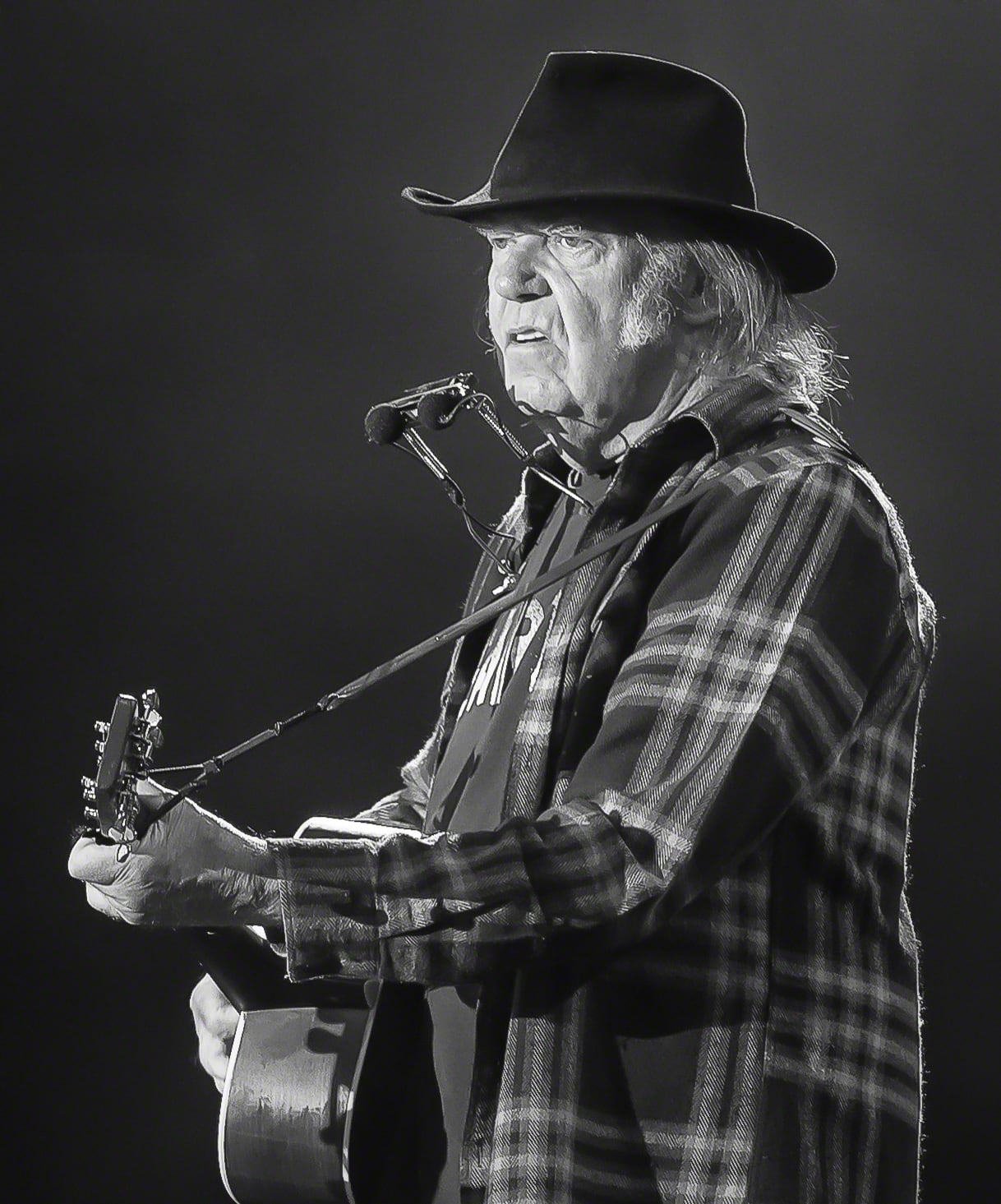 Neil Young reference image