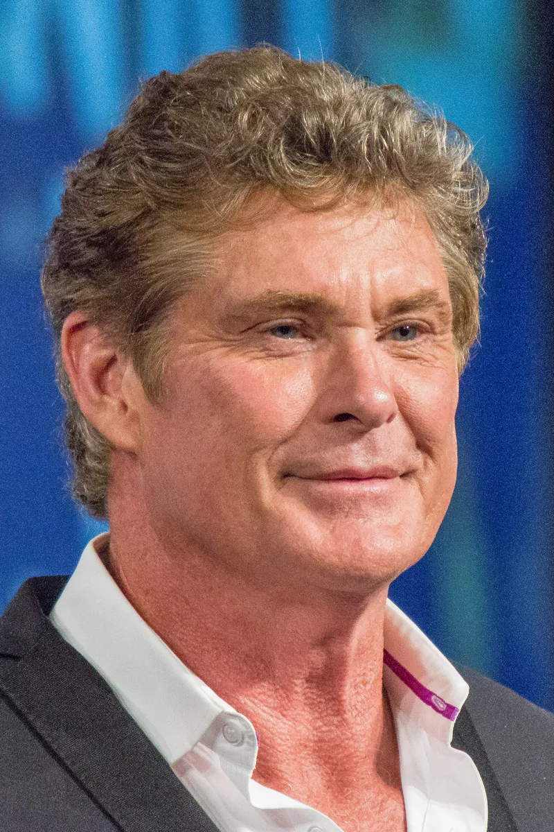 David Hasselhoff discography