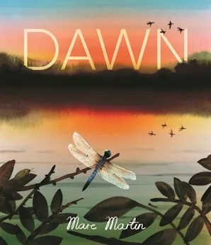 Dawn book cover