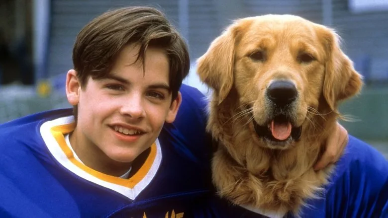 Air Bud: Golden Receiver TMDB poster or backdrop