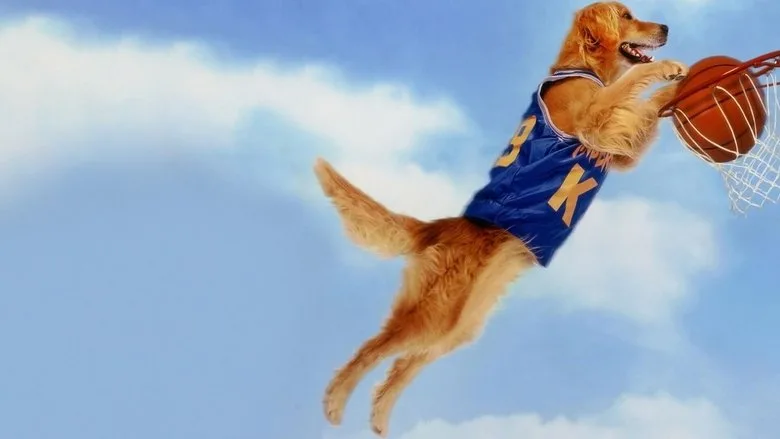 Air Bud TMDB poster or backdrop