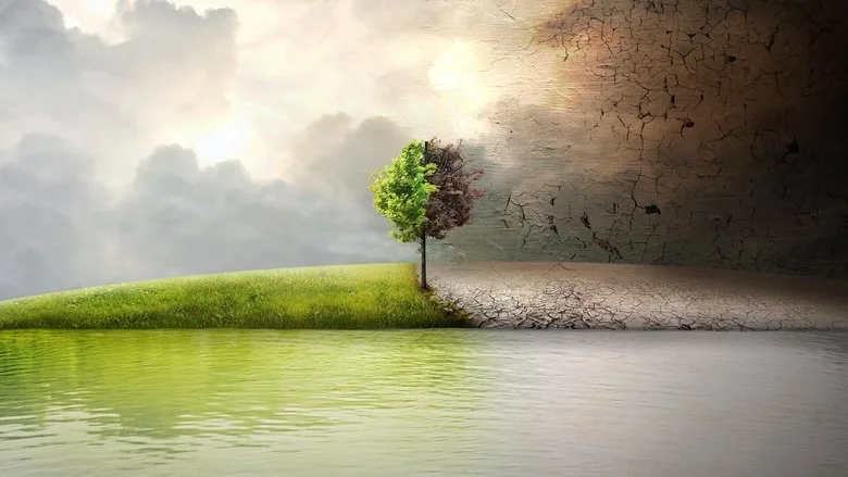 Before the Flood TMDB poster or backdrop