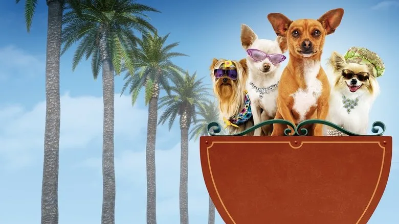 Beverly Hills Chihuahua TMDB poster or backdrop