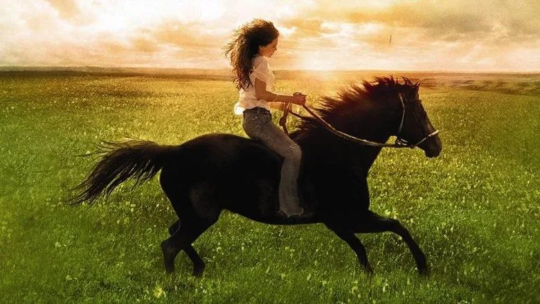 Flicka TMDB poster or backdrop