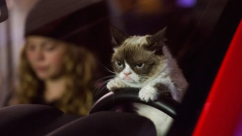 Grumpy Cat's Worst Christmas Ever poster